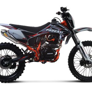 Progasi Palma 250 SE (Копировать)16